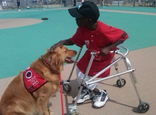 Boy in walker petting dog at the pool