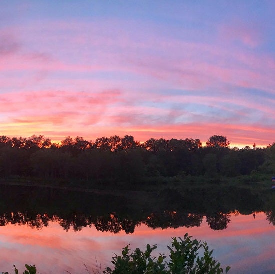 SunsetPEEC